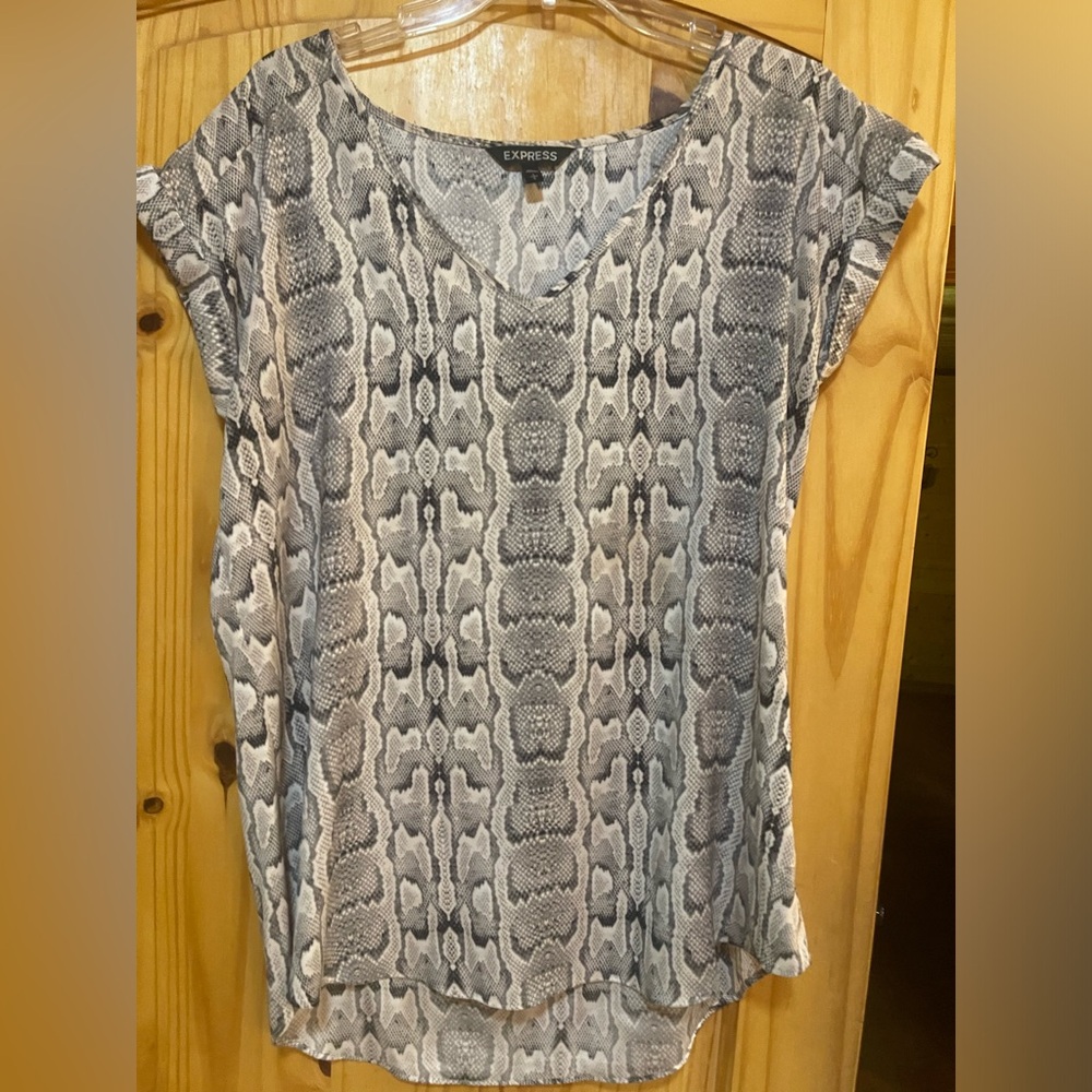 Express Blouse